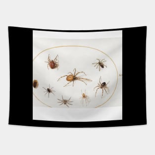 Seven Spiders and an Insect (1575–1580) painting  by Joris Hoefnagel Tapestry