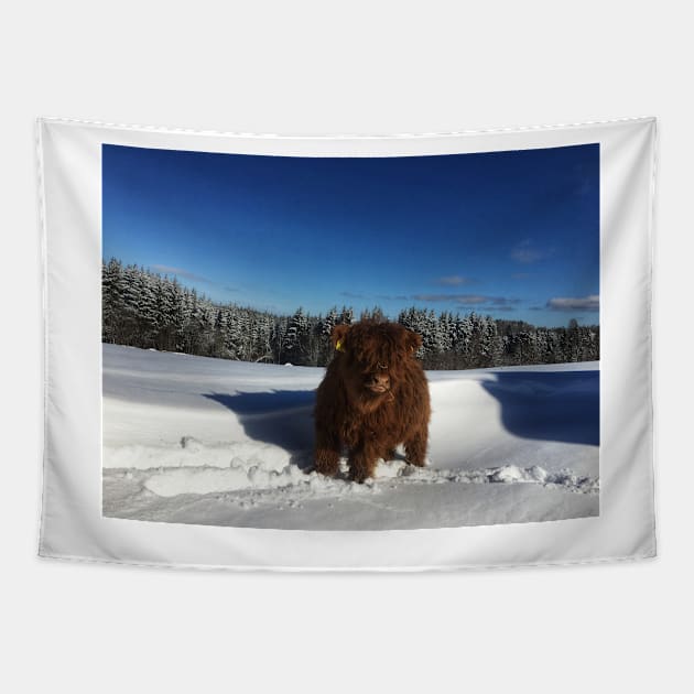 Scottish Highland Cattle Calf 1713 Tapestry by SaarelaHighland