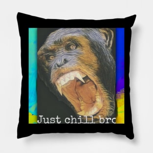 Just chill bro Pillow