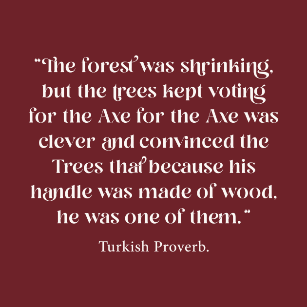 Turkish Proverb by n23tees