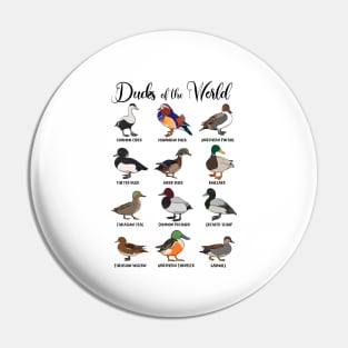 Different ducks - types of ducks Pin