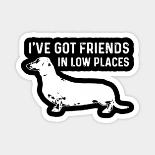 I've Got Friends in Low Places Magnet