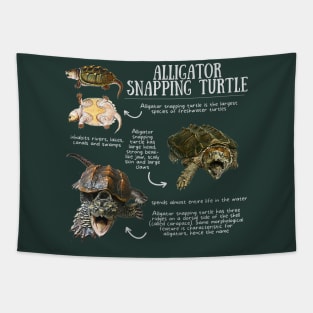 Animal Facts - Alligator Snapping Turtle Tapestry