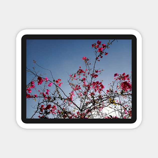 Beautiful summer pink flowers Magnet by hi-special