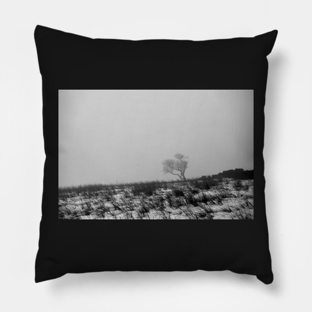 Lone Tree - Yorkshire Pillow by richard49