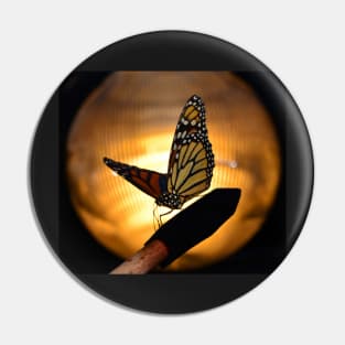 Monarch Butterfly Pin