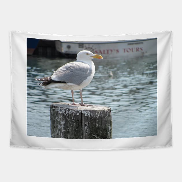 Gull King Tapestry by KensLensDesigns