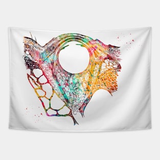 Eye Anatomy Tapestry