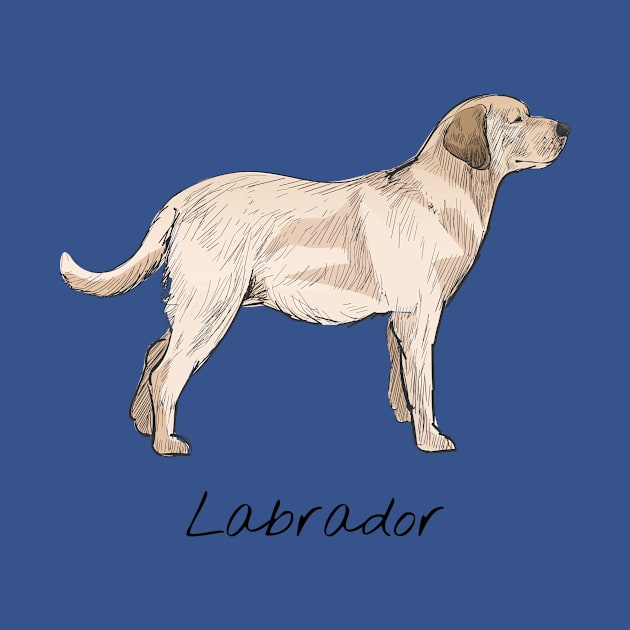 Labrador dog by This is store