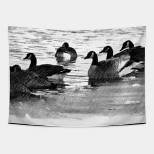 Canada Geese in Black & White. Tapestry