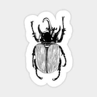 Beetle Magnet