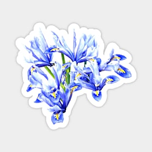 Purple Dwarf Iris Heart Magnet