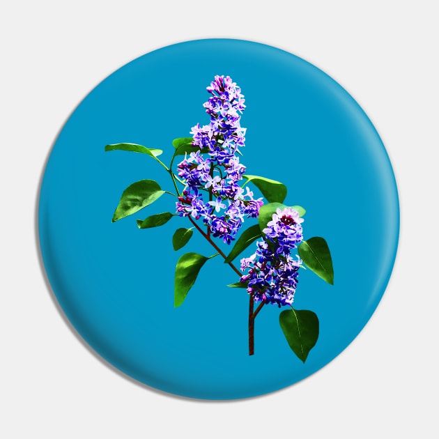 Lilacs - Spray of Lilacs Pin by SusanSavad