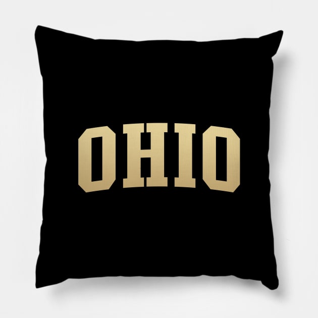 Ohio Pillow by kani