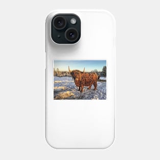 Scottish Highland Cattle Cow 2221 Phone Case