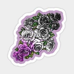 Ace Roses Abundant Magnet