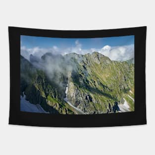 Mountain peaks in the spring Tapestry