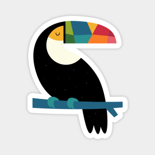 Rainbow Toucan Magnet