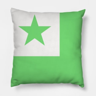 Paŝtelkolora Esperanto-flago Pillow