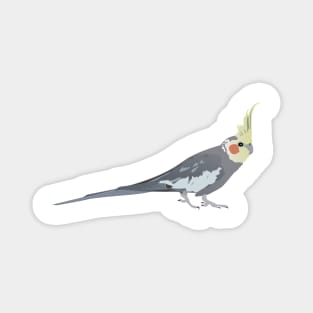 Cockatiel Parrot Magnet