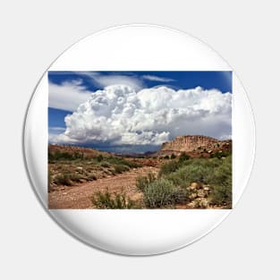 Summer Monsoon Pin