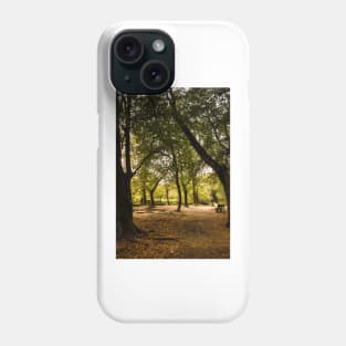 Autumn Walk Golitha falls Phone Case