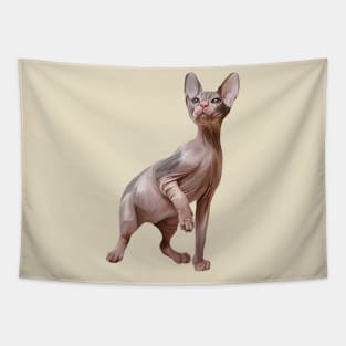 Drawing Sphynx kitten Tapestry