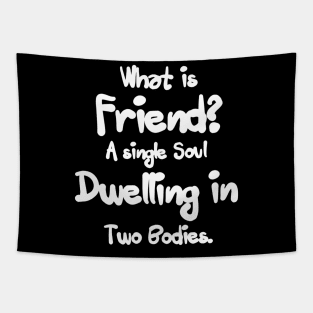 what is friends a single soul dwelling in two boodies Tapestry