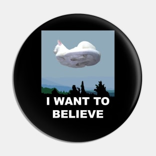 I Want To Believe. Pin