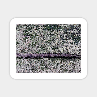 Lavender Slice Magnet