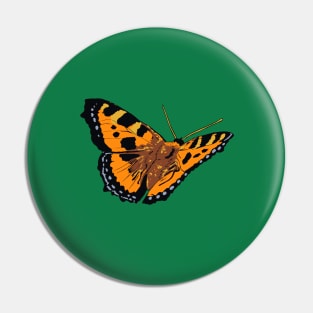 Beautiful Butterfly Pin
