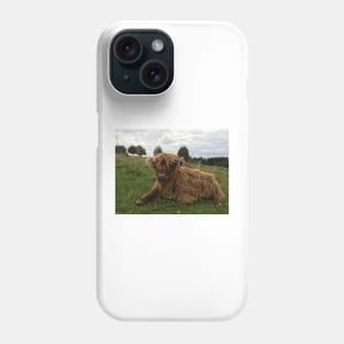 Scottish Highland Cattle Calf 1516 Phone Case