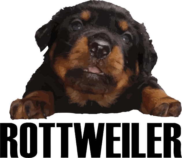 Rottweiler Lover Cute Baby Rottie Cut Out Kids T-Shirt by taiche