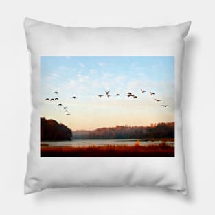 Canada geese take flight in the early morning light. Pillow