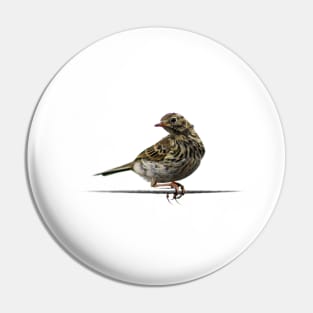 Bird on a Wire Pin
