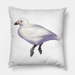 Cozy Sheathbill Pillow