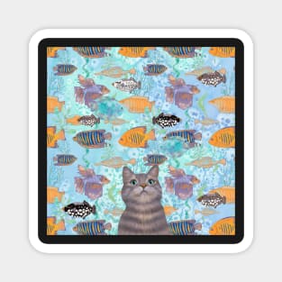 The fish thief - cute cat aqua pattern Magnet