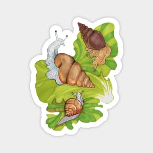 Lettuce Snails Magnet