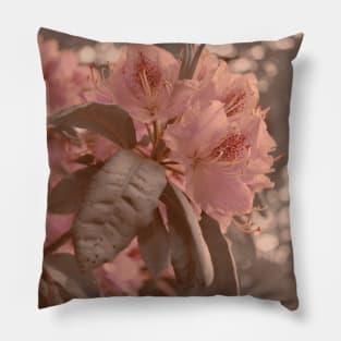 Cherry Blossom Aesthetic Photograph Design Pillow