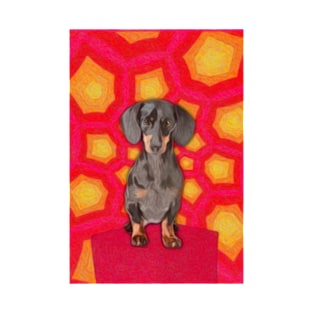 Sixties Dachshund Artwork T-Shirt