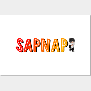 Sapnap Minecraft Skin Sticker | Postcard