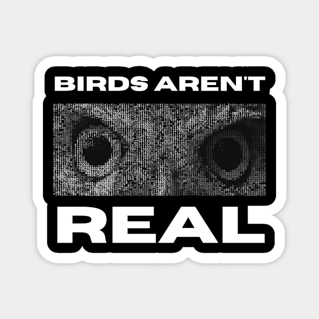 Birds Aren't Real Magnet by Crafty Mornings