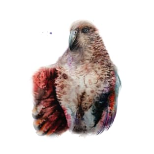 Kea Alpine Parrot T-Shirt