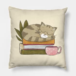Cat and books Pillow