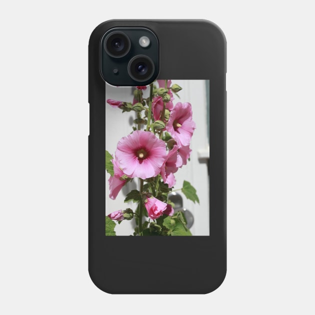 Hollyhock, hollyhock, hollyhock, flower, blossom, pink Phone Case by Kruegerfoto