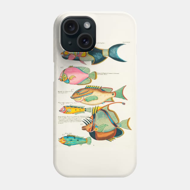Fishes found in Indonesia and the East Indies (1678 -1746) Phone Case by WAITE-SMITH VINTAGE ART