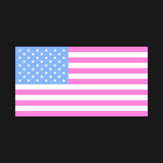 USA Flag Baby Pink by lukassfr