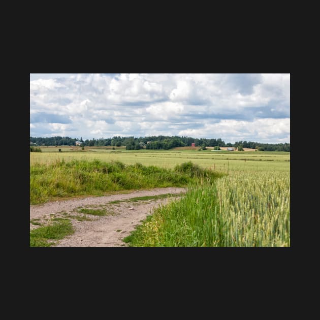 Dirt Road by ansaharju