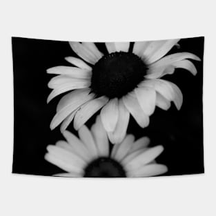 Daisies in black and white Tapestry