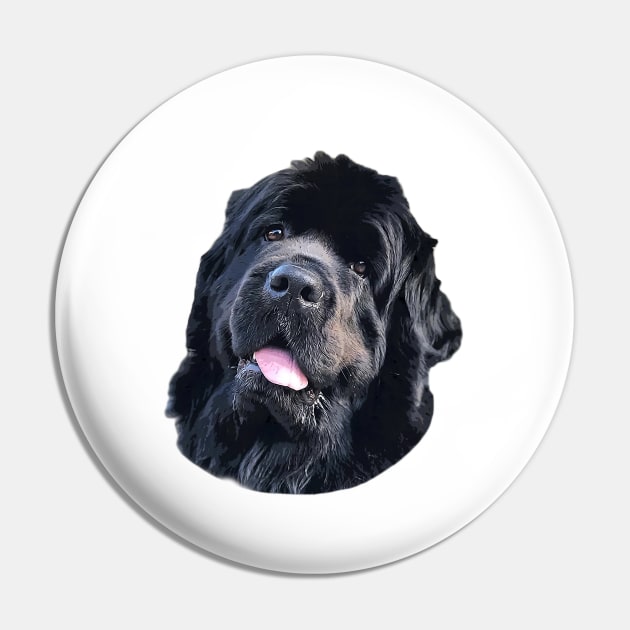 Newfoundland Puppy Dog Very Cute Pin by ElegantCat